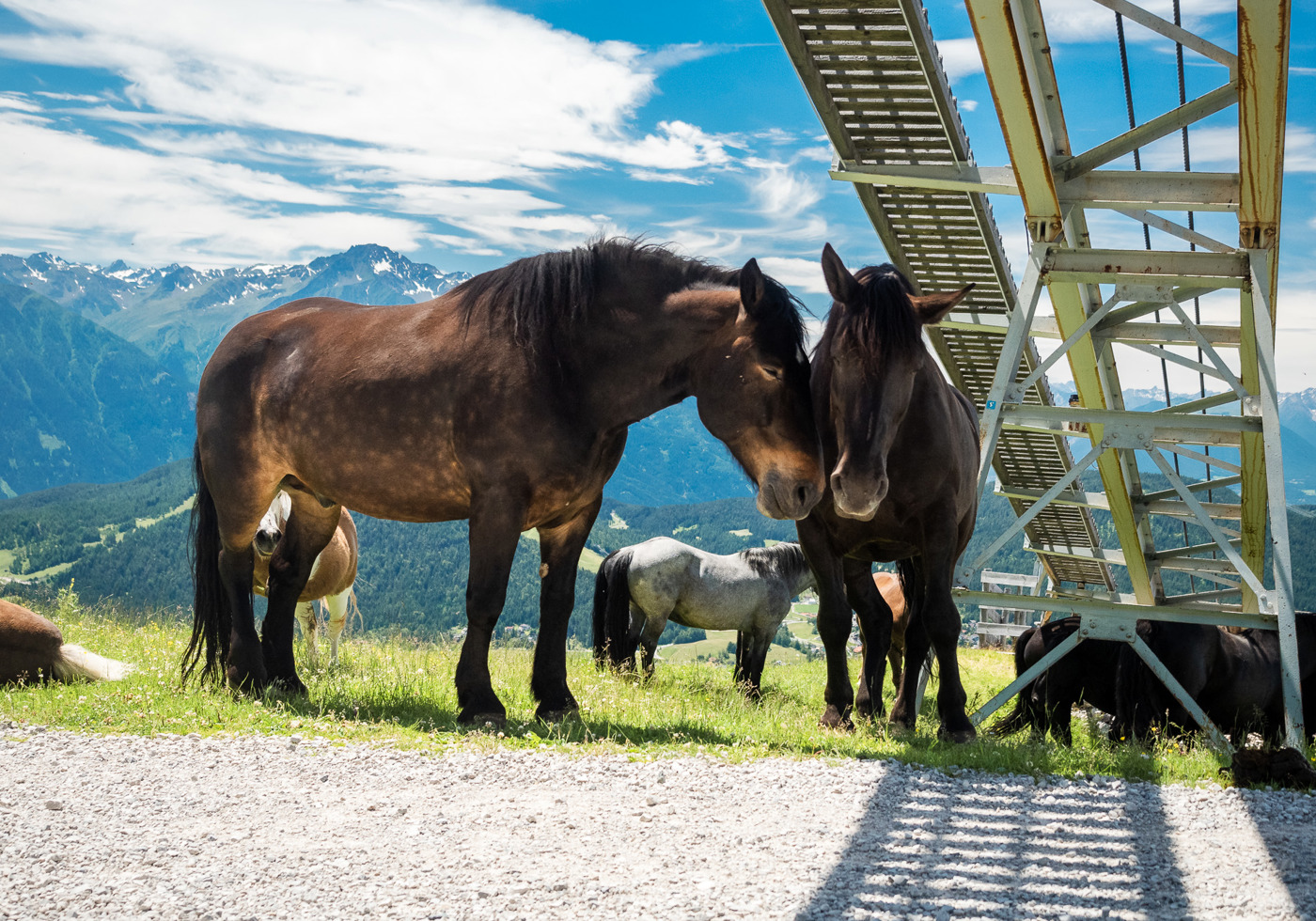 Postkarte: Seefeld – Tiroler Hochplateau in den Alpen · Österreich