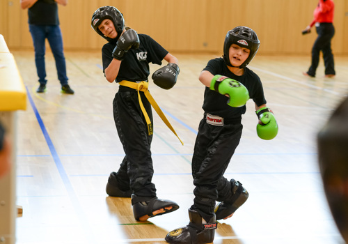 Kickboxing Bux